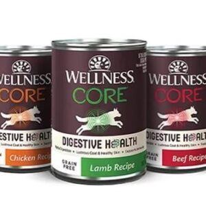 [Dog] Wellness Core Digestive Health 13oz